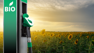 Lire la suite à propos de l’article Journée internationale du biodiesel et du caoutchouc résistant au carburant