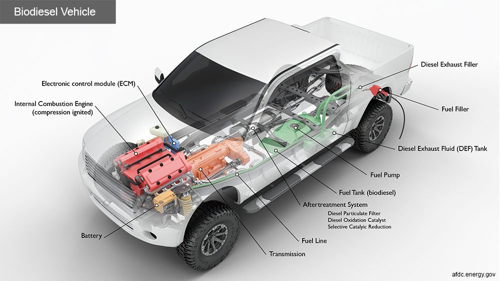 biodiesel vehicle